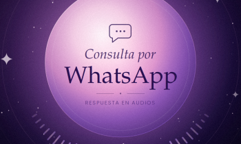 Consulta WhatsApp